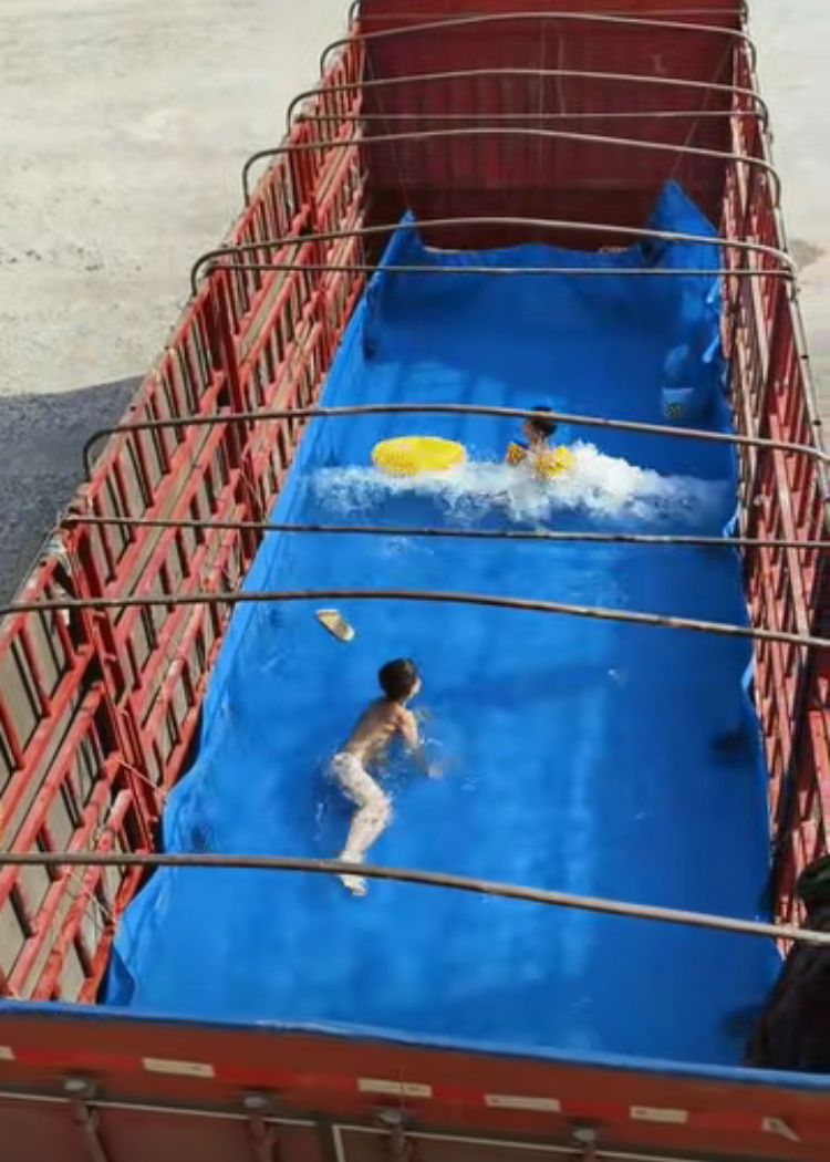 场面火爆！游泳观众席沸腾不已的简单介绍