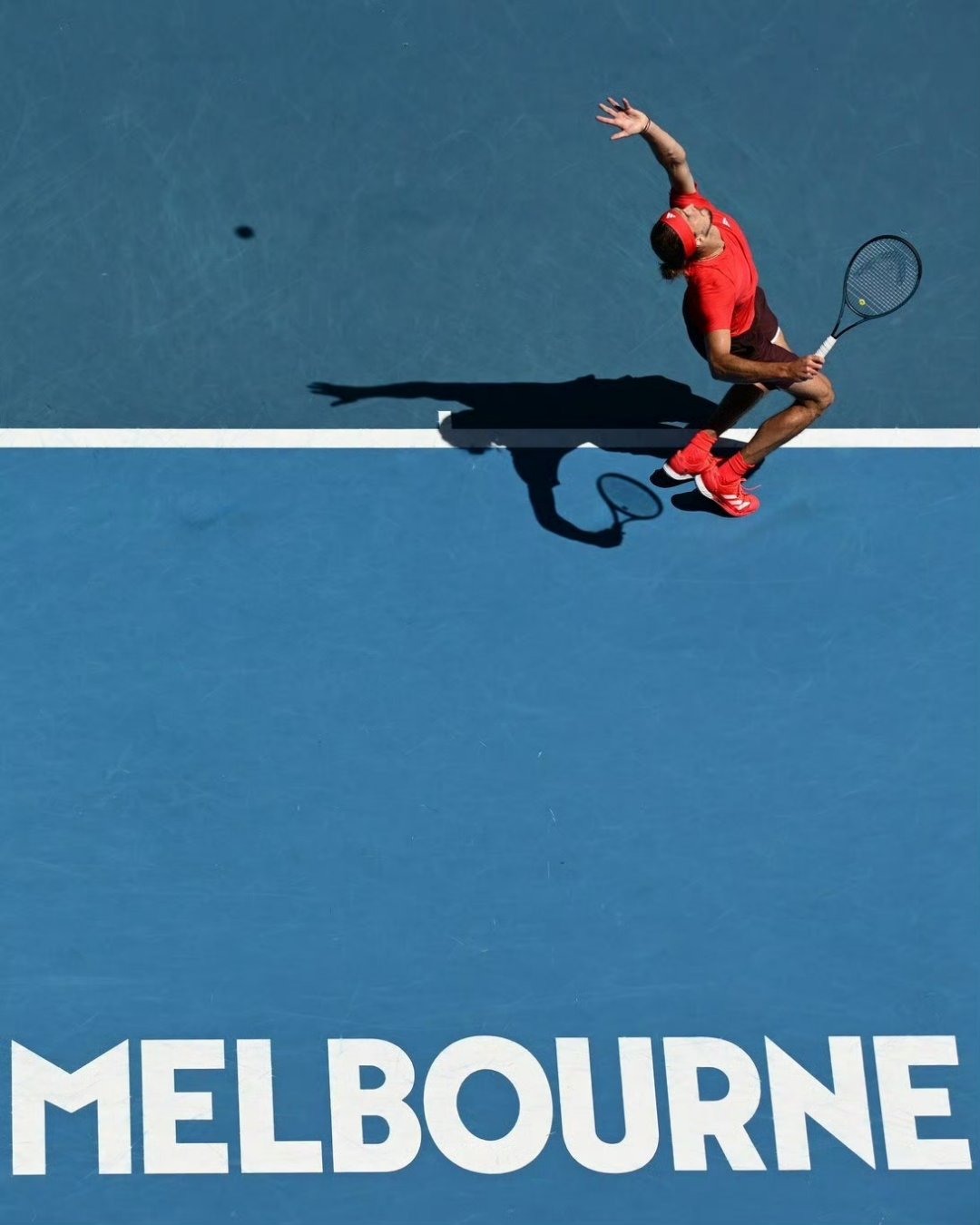 澳网完胜戴维斯杯，兹维列夫高光表现