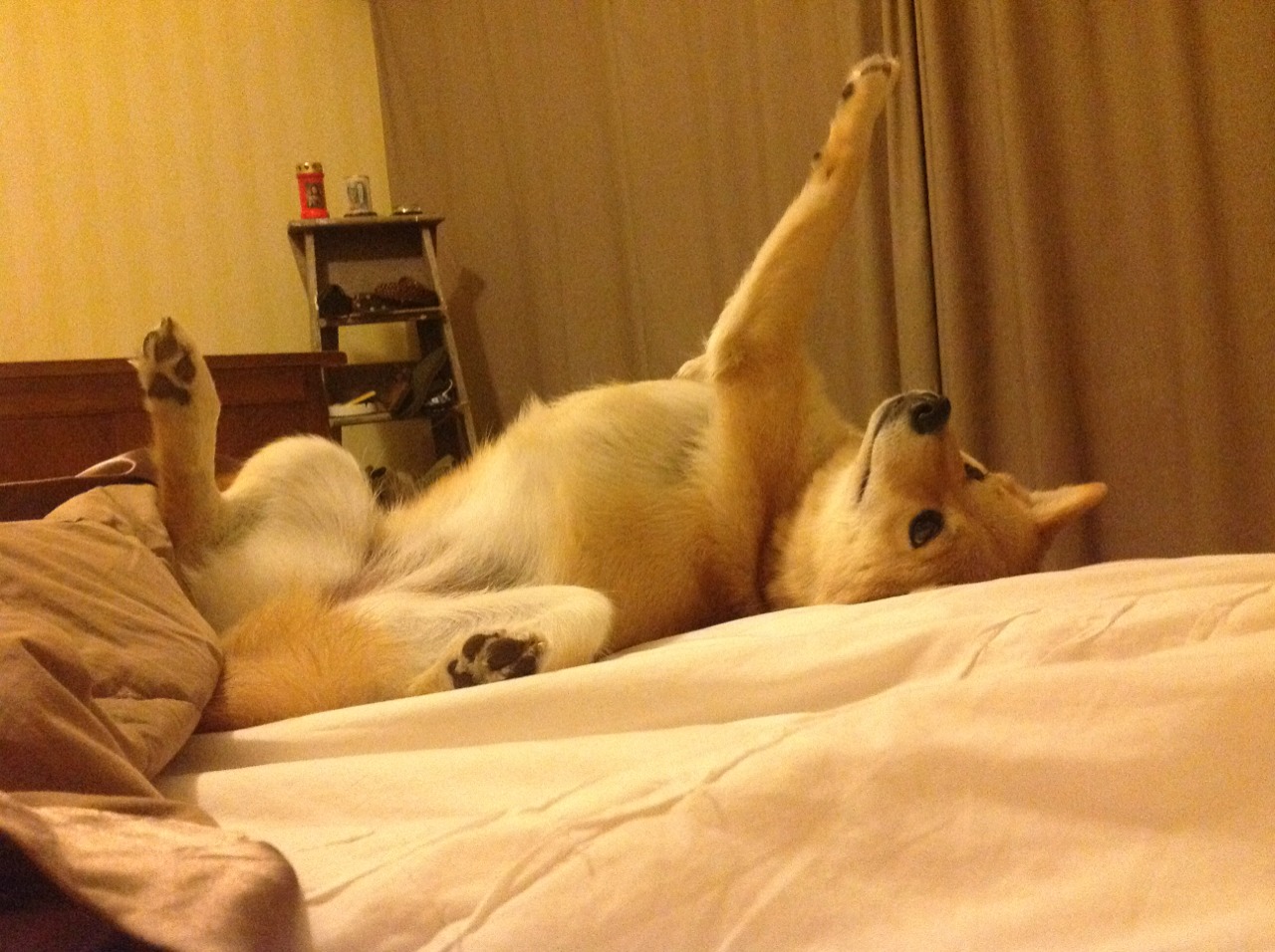 开云体育入口-勒布朗与幽灵，当现代君王在绿军面前唤醒公牛之魂