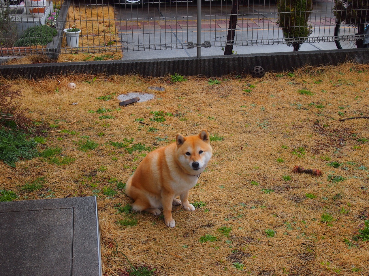 开云体育官网-潘帕斯的风吹过斯坦福桥，维尼修斯与阿根廷的强行终结