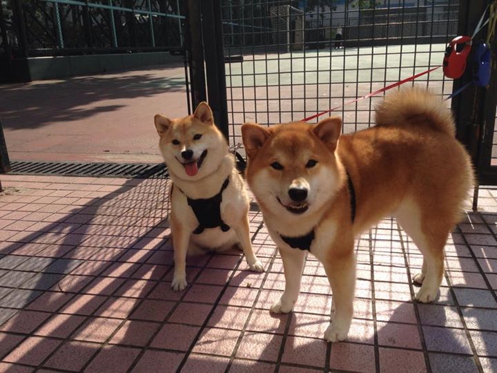 开云sport-摩洛哥单节制胜！阿克末节爆发成关键先生，率队击退几内亚