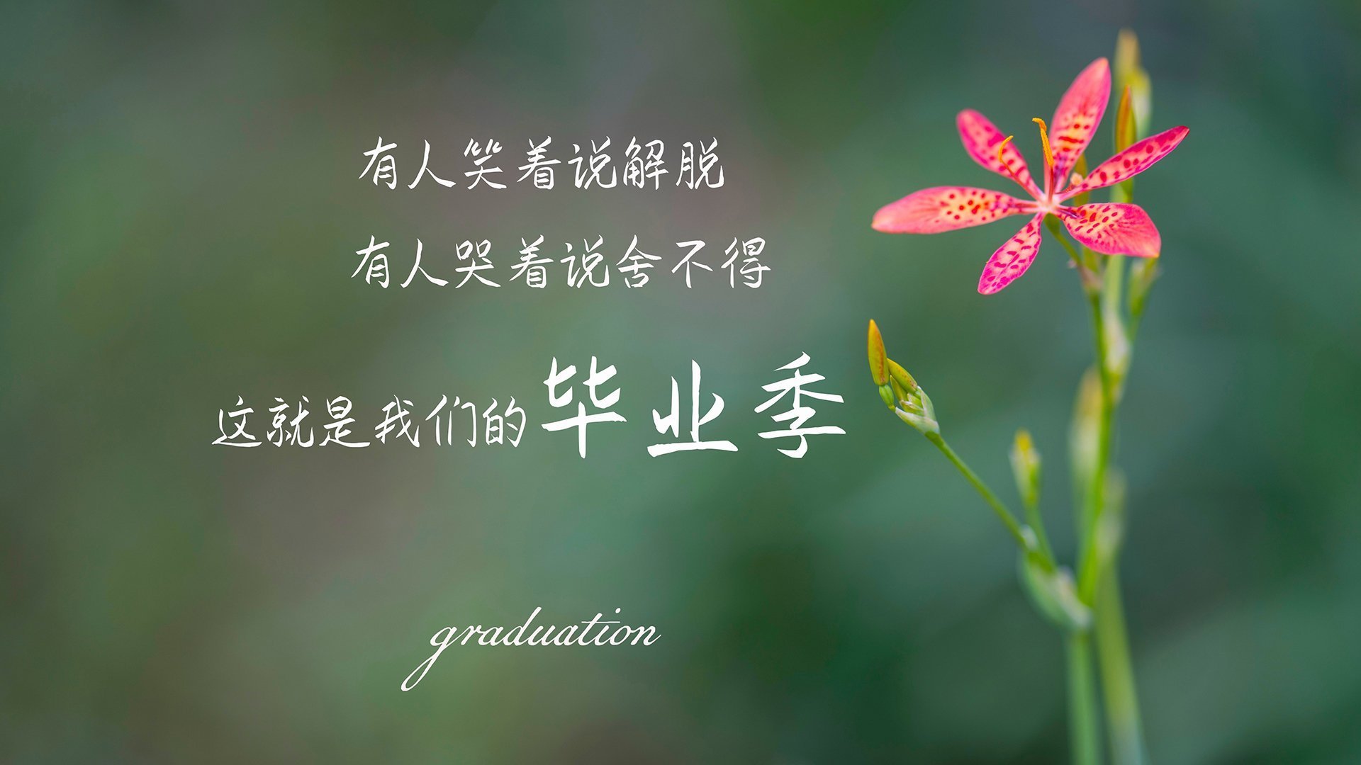 开云体育中国-两场战争，一种胜利，切尔西铁血晋级与李刚仁的排名征服