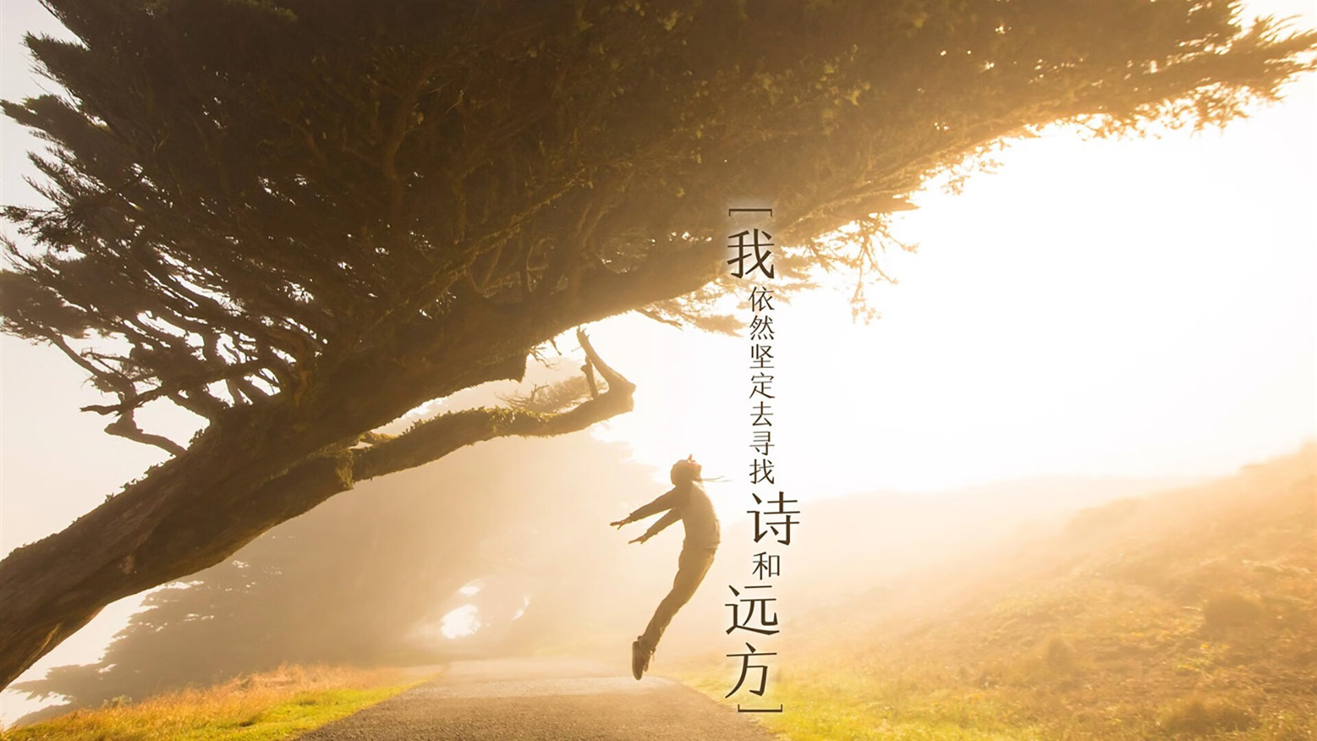 久保建英闪耀，新西兰震惊世界！亚洲魔术师导演哥伦比亚击溃战