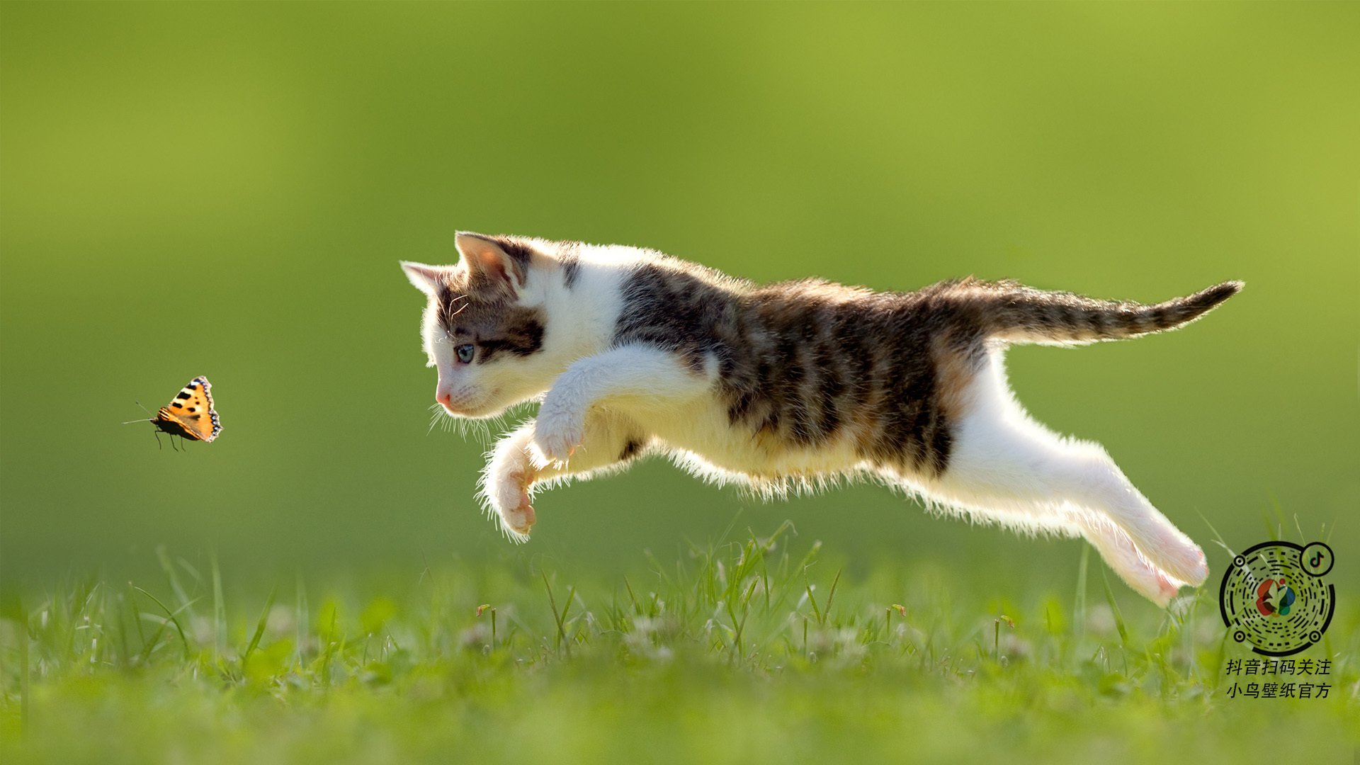 残局中的皇后，当太阳血拼步行者，哈登如何成为胜负手