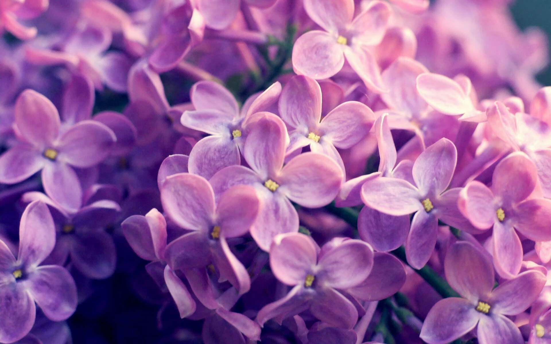 银箭与跃马的永恒博弈，恩佐攻防转换核心如何定义年度争冠之夜