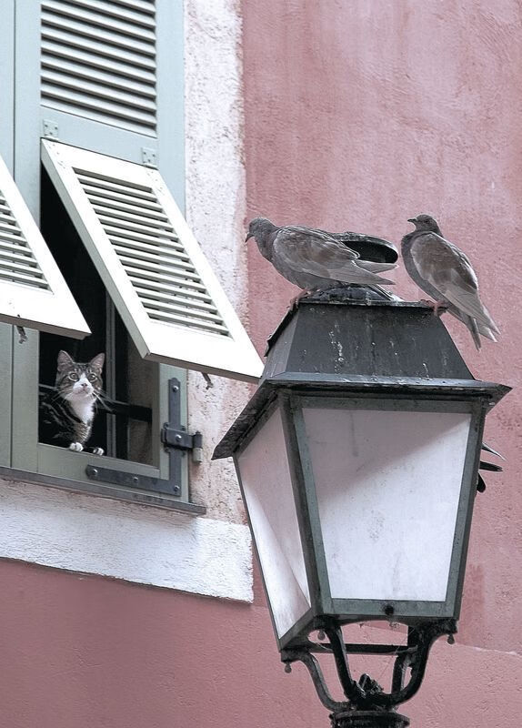 马刺的团队，利拉德的个人，篮球胜利的两种唯一性