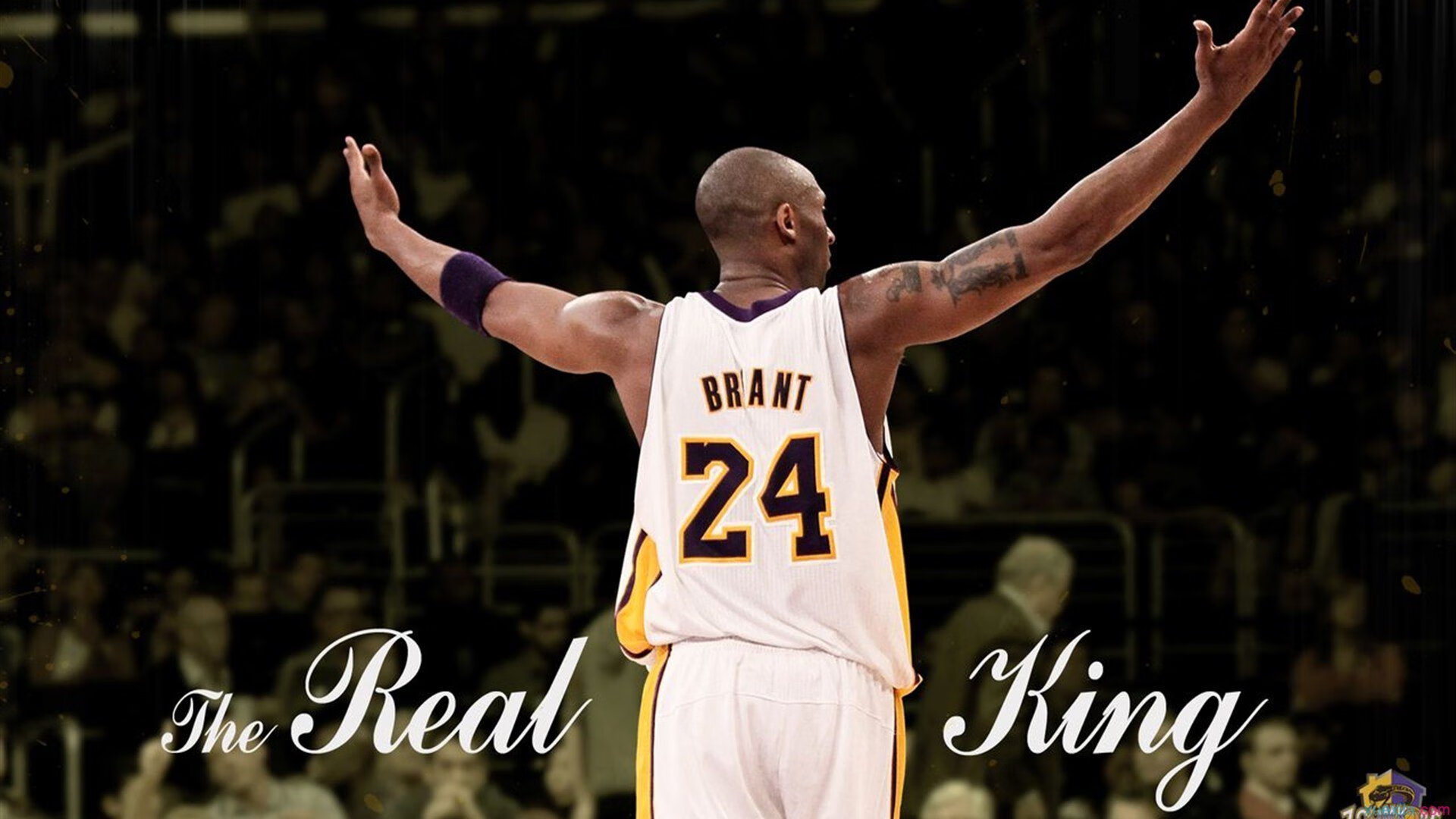 开云体育app-暗夜骑士，落选秀范弗利特如何率马刺刺穿尼克斯的冠军梦