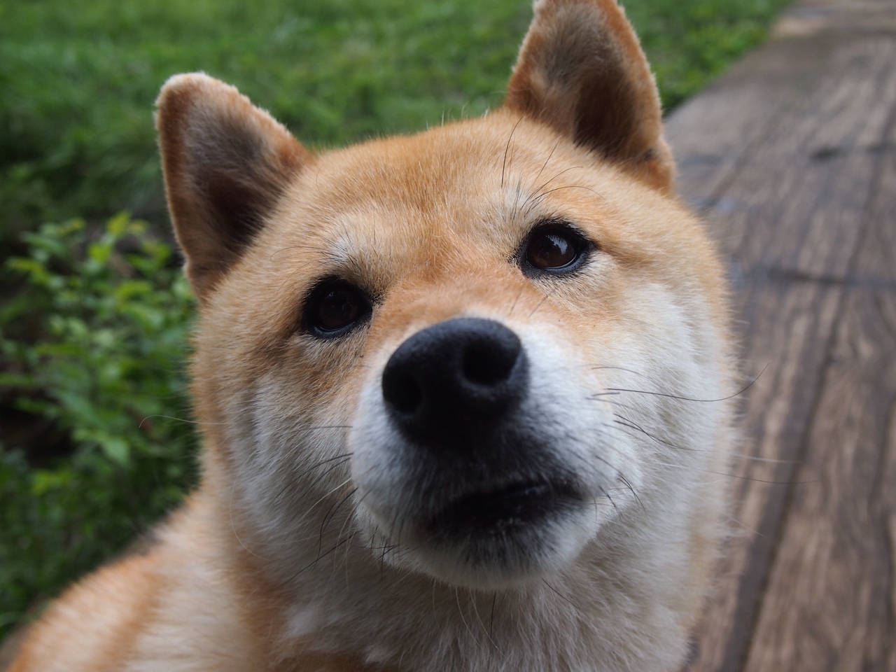 开云体育登录-骑士奇迹兵团跨域驰援，哈利伯顿导演天山脚下逆袭剧本