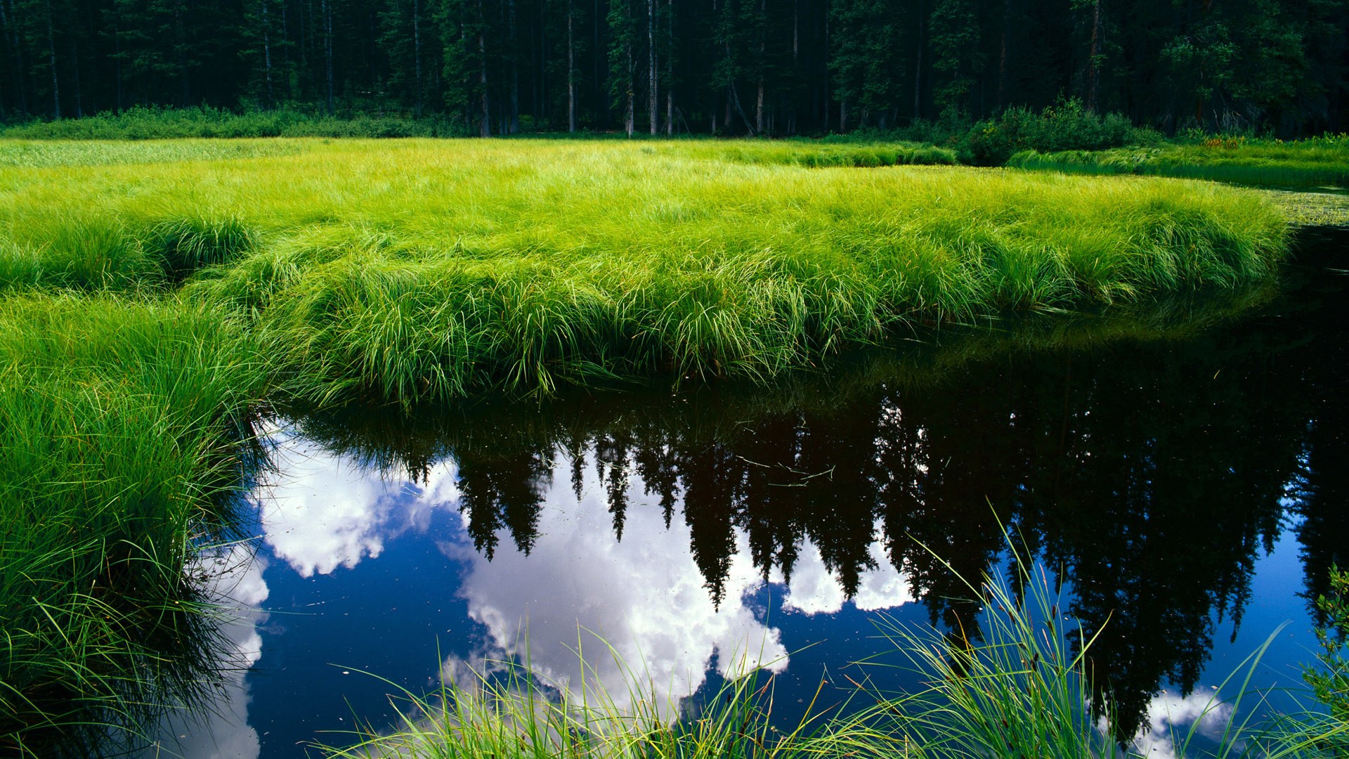 开云体育APP下载-生死战铸就传奇，乔治绝命一击，湖人碾碎广厦雄心