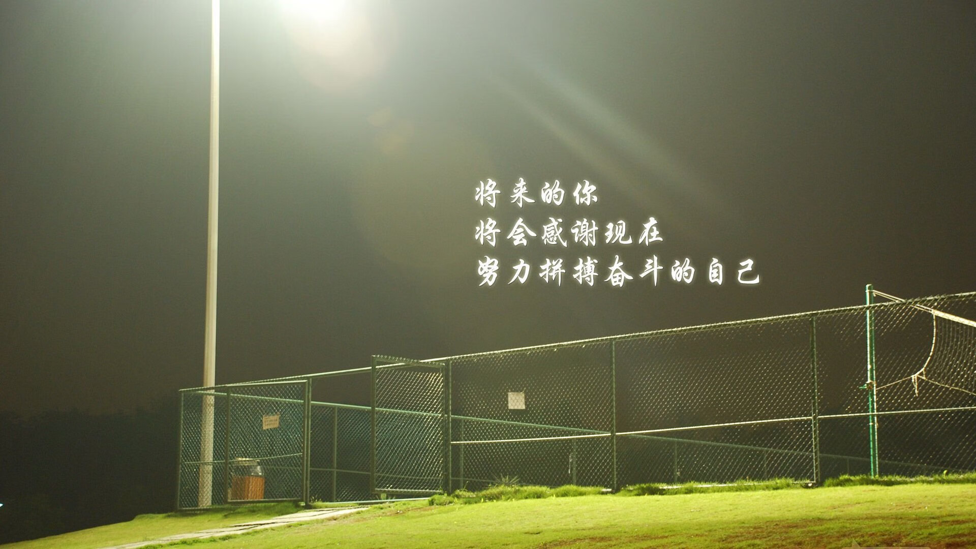 无敌狮王咆哮，范戴克战神模式主宰B组生死战，喀麦隆完胜厄瓜多尔书写2026世界杯唯一剧本